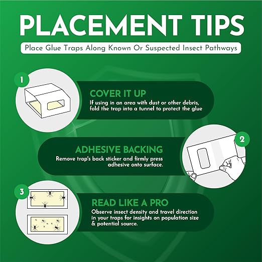 Insect Killer Traps: Versatile, Pre-Baited - 30-Pack Crawling Pests - Efficient Pest Control for Spiders - Image 3