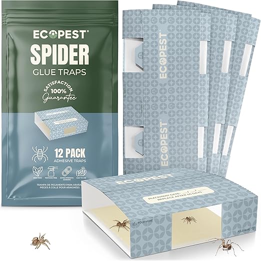 Spider Trap — 12 Pack | Sticky Indoor Glue Traps for Spiders and Other Bugs and Crawling Insects