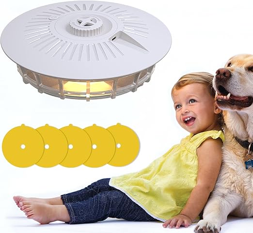 Indoor Outdoor Non Toxic Fleas Trapping Lamp Insect Traps with 5 Sticky Paper