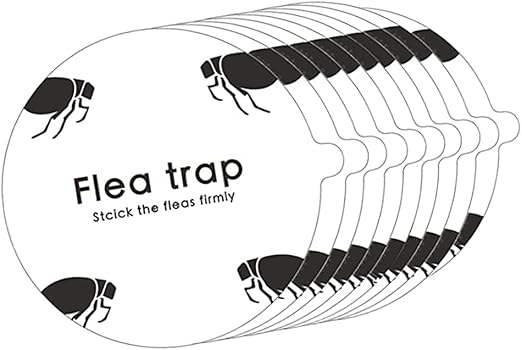 Flea Trap Stickers Round Sticky Fly Traps Dome Flea Trap Refill for Home
