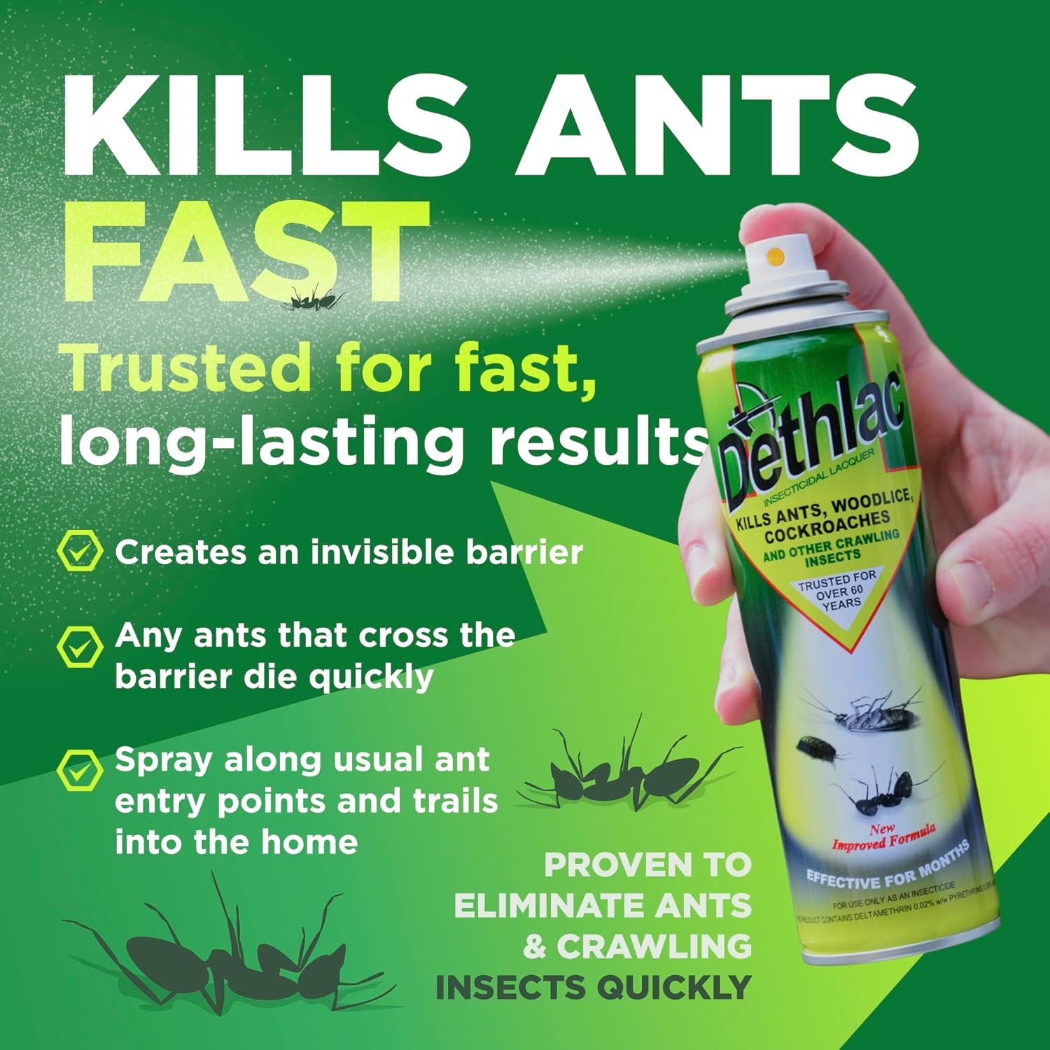 Ant Killer Spray 250ml | Ant & Crawling Insect Killer | Indoor & Outdoor - Image 2