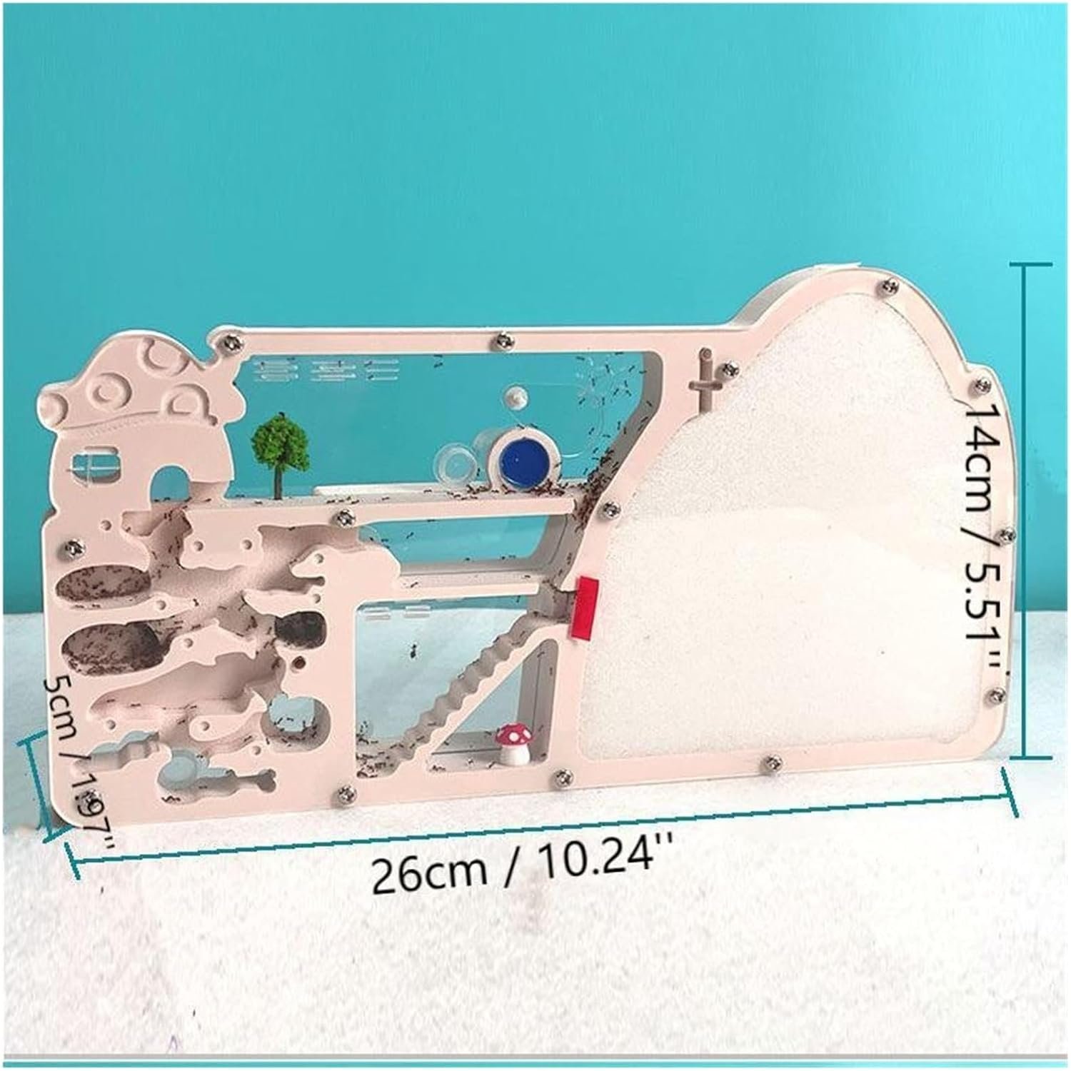 Expandable Sand Ant Farm | Carpenter Ant Habitat | Educational Ant Colony Viewing Kit - Image 2