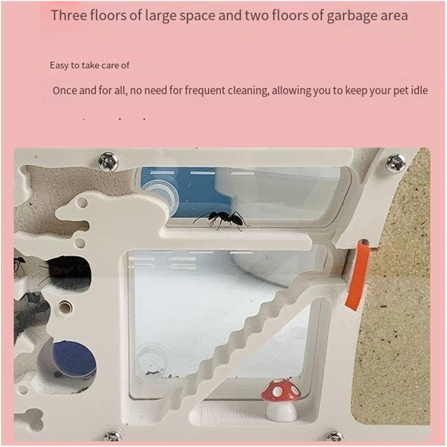 Expandable Sand Ant Farm | Carpenter Ant Habitat | Educational Ant Colony Viewing Kit - Image 3
